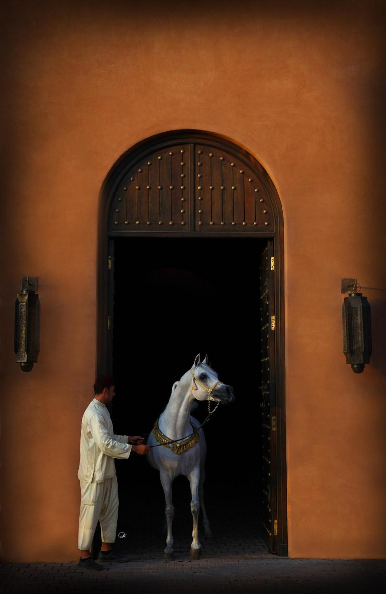 Selman Marrakech El Makina Exterior foto