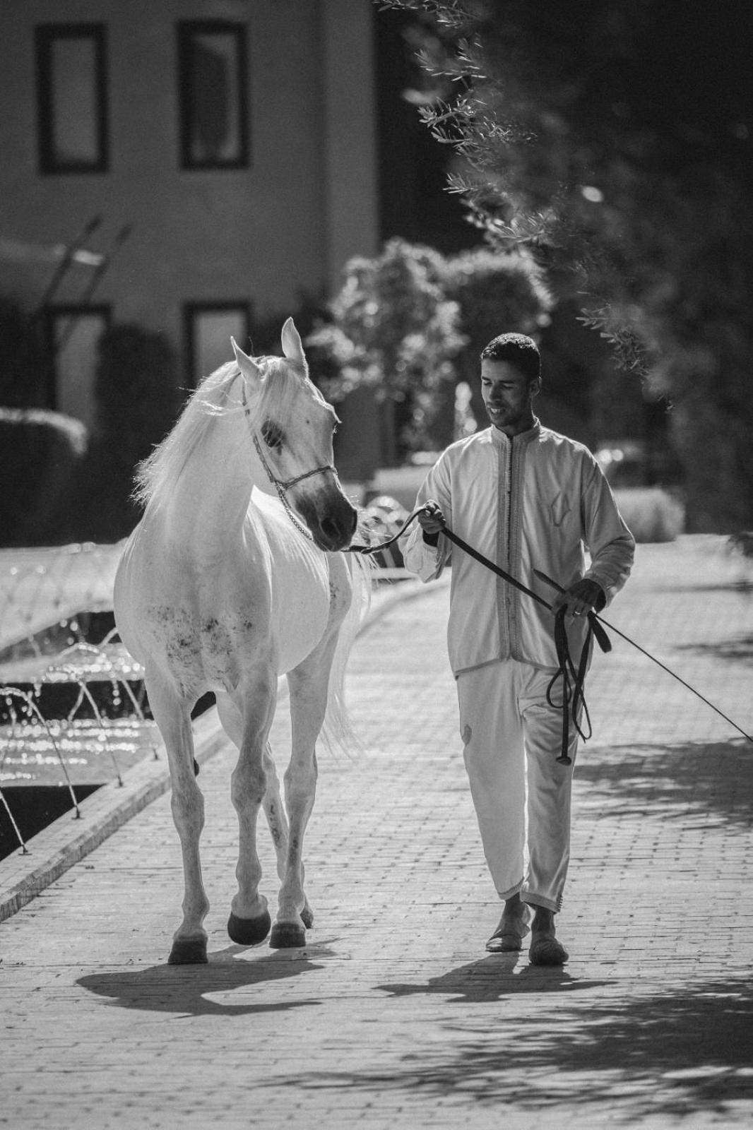 Selman Marrakech El Makina Exterior foto
